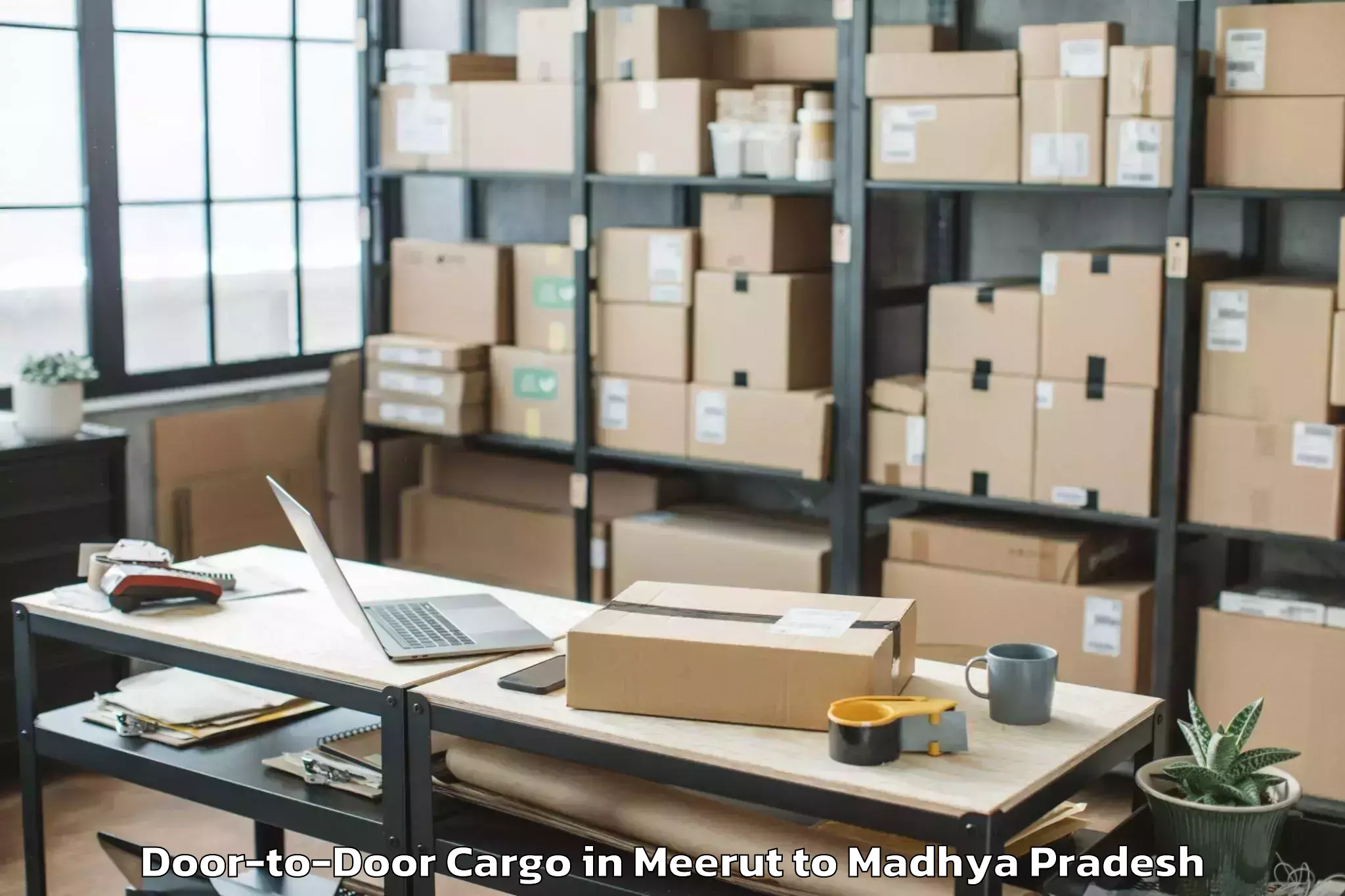 Hassle-Free Meerut to Daboh Door To Door Cargo